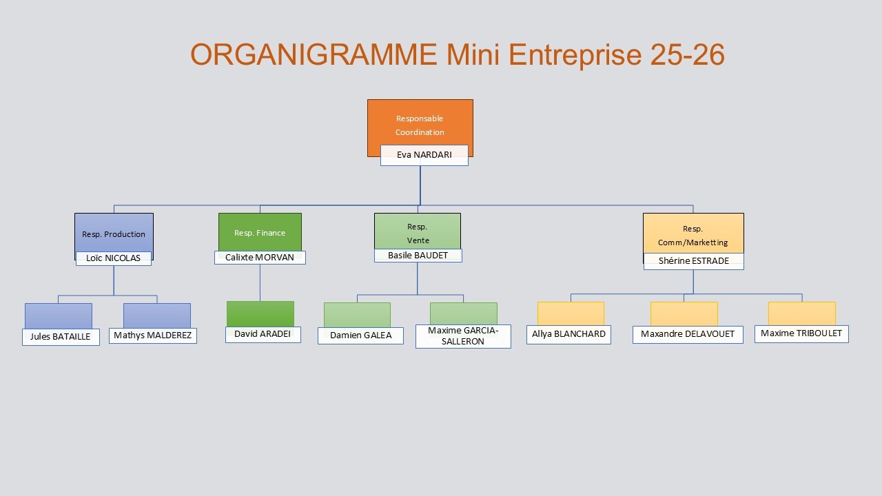 DP3 : Organisation de la mini entreprise : Suite et fin... 